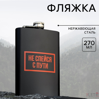 Фляжка «Не спейся», 270 мл