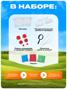 Набор для опытов «Муравьиная ферма»