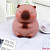 Копилка капибара "Big Capybara Frog Friend"