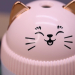 Настольный увлажнитель воздуха -  ночник "Cat", pink, портативный, USB