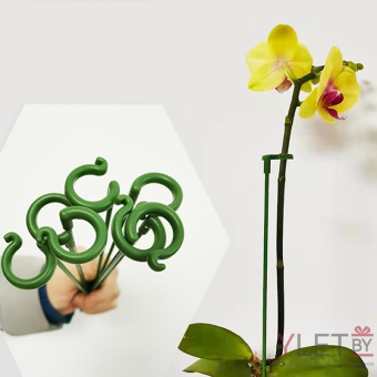 Опора для растений 27 см, 1 шт