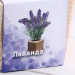 Набор для выращивания "Лаванда" Набор для выращивания "Лаванда"
