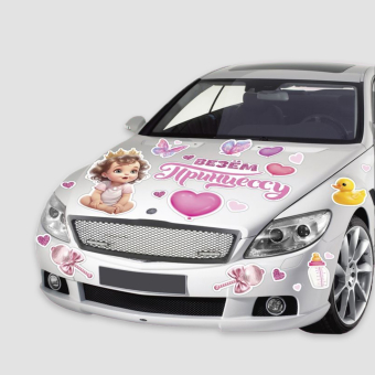 Набор магнитов на авто «Везем принцессу», на выписку, 42 см х 29,7 с