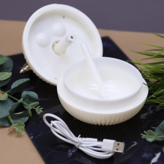 Настольный увлажнитель воздуха -  ночник "Birdie", (портативный, USB)