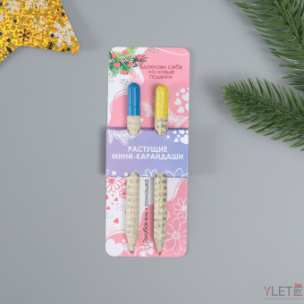 Растущие карандаши подарочные «Голубая Ель + Ромашка» 2 шт.
