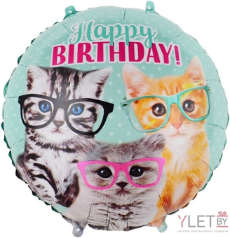 Шар (18''/46 см) Круг, С Днем Рождения, милые котята в очках