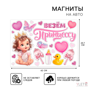 Набор магнитов на авто «Везем принцессу», на выписку, 42 см х 29,7 с