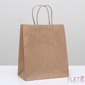 Пакет крафт без печати, круглая ручка 22 х 12 х 25 см