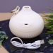 Настольный увлажнитель воздуха -  ночник "Birdie", (портативный, USB)