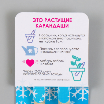 Растущие карандаши подарочные «Голубая Ель + Сосна» 2 шт