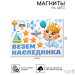Набор магнитов на авто «Везем наследника!», на выписку