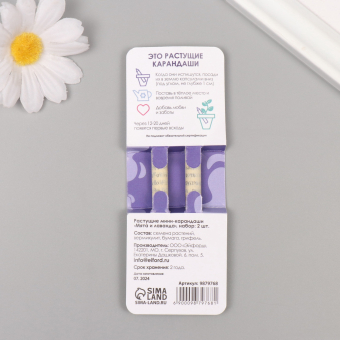 Растущие карандаши подарочные «Мята и Лаванда» 2 шт.№2