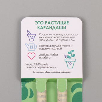 Растущие карандаши подарочные «Мята и Паприка» 2 шт.