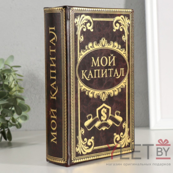 Сейф книга Мой капитал 21х13х5 см