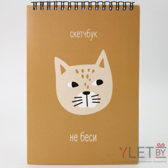 Скетчбук «Не беси», 14х20 см, плотность 100 гр