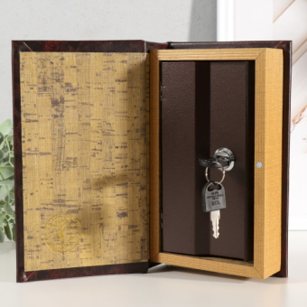 Сейф книга Мой капитал 21х13х5 см