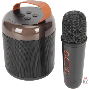 Караоке колонка Bluetooth с микрофоном Черная