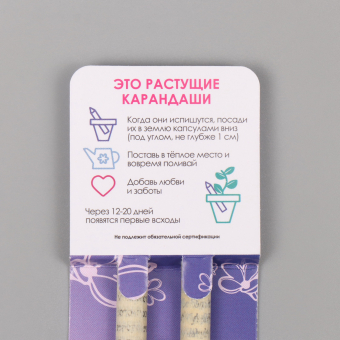 Растущие карандаши подарочные «Лаванда + Ромашка» 2 шт.