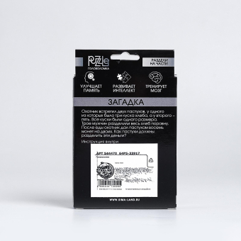 Головоломка Игры разума «Раздели на части» №11