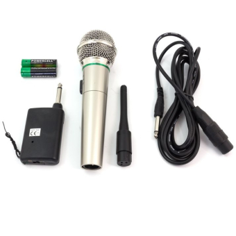 Радиомикрофон для караоке