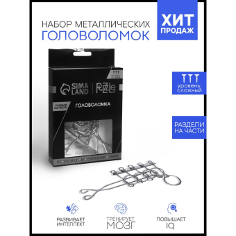 Головоломка металлическая «Игры разума. Раздели на части» №2