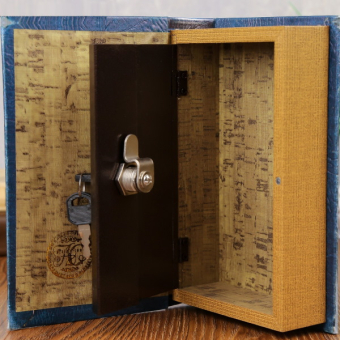 Сейф книга Мои наполеоновские планы, 21х13х5 см