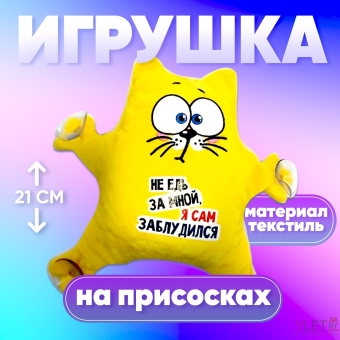 Игрушка для автомобиля «Не едь за мной», кот, на присосках