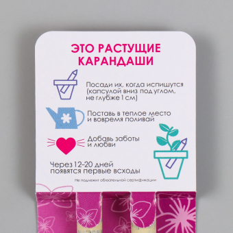 Растущие карандаши подарочные «Лаванда + Сирень» 2 шт.