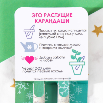 Растущие карандаши подарочные «Голубая Ель + Сосна» 2 шт.№1