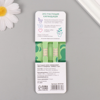 Растущие карандаши подарочные «Мята и Паприка» 2 шт.