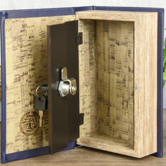 Сейф книга Философия успеха, 21х13х5 см