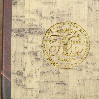 Книга сейф Капитал, 21х13х5 см