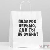 Пакет подарочный Ты не очень 24 х 14 х 30 см