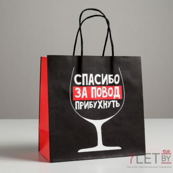 Пакет подарочный Повод прибухнуть, 22 х 22 х 11 см