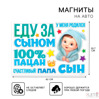 Набор магнитов на авто «Еду за сыном», на выписку, 42 см х 29,7 см
