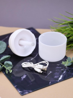 Настольный увлажнитель воздуха - ночник "Cat", white, (портативный, USB)