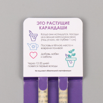 Растущие карандаши подарочные «Мята и Лаванда» 2 шт.