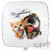 Шар 18" Квадрат, Поздравляем. Питомцы