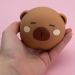 Мялка - антистресс «Cute capybara  face»