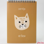 Скетчбук «Не беси», 14х20 см, плотность 100 гр