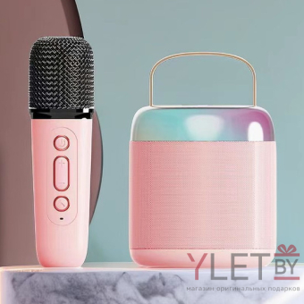 Караоке колонка Bluetooth с микрофоном Розовая