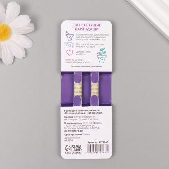 Растущие карандаши подарочные «Мята и Лаванда» 2 шт.